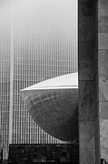 A Peek at the Egg Photograph by Neil Shapiro