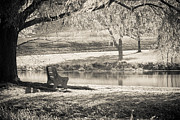 A Place to Rest Photograph by Ana V Ramirez