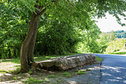 A Place to Rest Photograph by K Bradley Washburn A Place to Rest Photograph by K Bradley Washburn