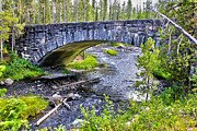 A River Runs Through Photograph by Flat Owl Photo