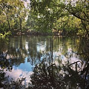 A Shot I Took Of The Suwannee River Photograph by Daniel Eskridge