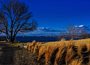 A Side Path Photograph by Mark Myhaver