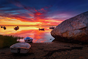 A Solitary Place - Cape Cod Photograph by Darius Aniunas