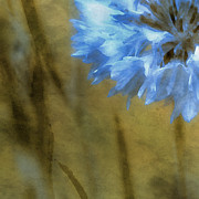A Splash of Blue Painting by Bonnie Bruno