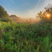 A Summer Morning 2016 Square Photograph by Bill Wakeley