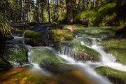 A Touch of Light Photograph by Andreas Levi