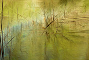 A Walk Along The Creek Photograph by Deborah Hughes