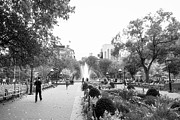 A Walk in the Park Photograph by Ana V Ramirez A Walk in the Park Photograph by Ana V Ramirez