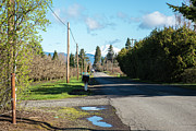A Wet Winter Photograph by Tom Cochran