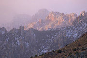 A Winter Morning At The Chiricahua Mountains'  Portal Peak Photograph by Steve Wolfe