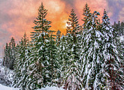 A winters sky set ablaze Photograph by Jason Brooks A winters sky set ablaze Photograph by Jason Brooks