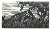 Abandoned Hunters Cabin Drawing by Jonathan Baldock