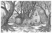 Abandoned Irish Home Drawing by Jonathan Baldock