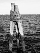 Abandoned Moorings in Boston Harbor Photograph by Beth Myer Photography