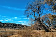 Forgotten Park Photograph by Joe Lach