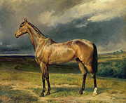 Abdul Medschid the chestnut arab horse Painting by Carl Constantin Steffeck Abdul Medschid the chestnut arab horse Painting by Carl Constantin Steffeck