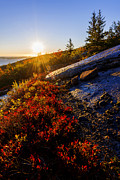 Above Bar Harbor Photograph by Chad Dutson