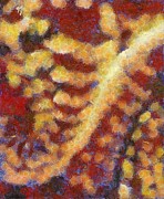 Abstract Art by Tito. Fruit Painting by Esoterica Art Agency