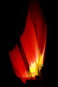 Abstract Poinsettia Digital Art by Rafael Salazar Abstract Poinsettia Digital Art by Rafael Salazar