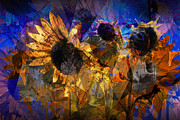 Abstract Sunflowers Photograph by Randall Nyhof