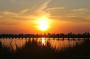 Across The Bay Photograph by Robert Banach