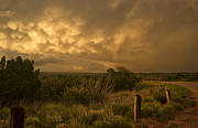 After The Storm Photograph by Melany Sarafis