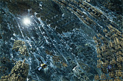 After Earth Digital Art by Jonas Luis