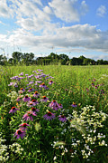 Afternoon in Moraine Hills State Park Photograph by Ray Mathis