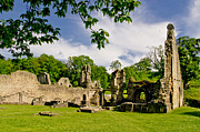 Afternoon in the Fountains Abbey. Photograph by Elena Perelman