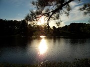 Afternoon on the Lake Photograph by Tammie J Jordan