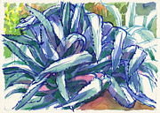 Agave Tangle Painting by Judith Kunzle