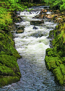 Alaskan Creek Photograph by Jason Brooks Alaskan Creek Photograph by Jason Brooks