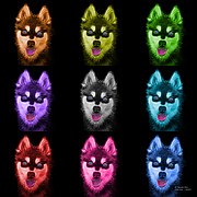 Alaskan Klee Kai - 6029 -BB - M Painting by James Ahn