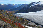 Alaska's Exit Glacier Photograph by Steve Wolfe