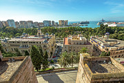 Alcazaba of Malaga Pyrography by Benny Marty