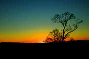 Alone Photograph by Dave Bosse