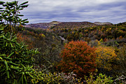 Along the Blue Ridge Parkway Photograph by Allen Nice-Webb