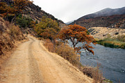 Along The Kalamath - Oregon Photograph by DArcy Evans Along The Kalamath - Oregon Photograph by DArcy Evans