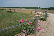 Along the Road Photograph by Jim Goodman
