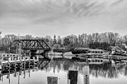 Along the Seneca River Photograph by William Norton Along the Seneca River Photograph by William Norton