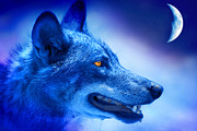 Alpha Wolf Photograph by Mal Bray