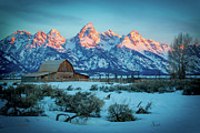 Alpine Glow N Sage Photograph by Carla E