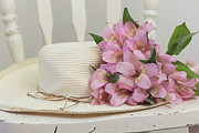 Alstroemeria Still Life Photograph by Kim Hojnacki Alstroemeria Still Life Photograph by Kim Hojnacki