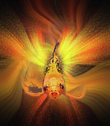 Glitter Fish Photograph by Susan Warren