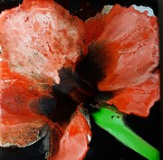 Amarylis Flower Painting by Terri Mills