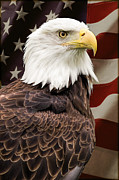 American Freedom Photograph by Dale Kincaid