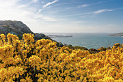 An Irish View Photograph by Toren Lehrmann