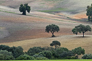 Andalusian Landscape Photograph by Heiko Koehrer-Wagner