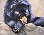 Andean Bear / Spectacled Bear/ Andean Short-Faced Bear Painting by J W Baker