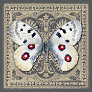 Apollo Butterfly Design Painting by Amy Kirkpatrick